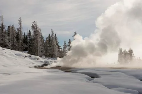 Steaming geyser in winter Stock Photos