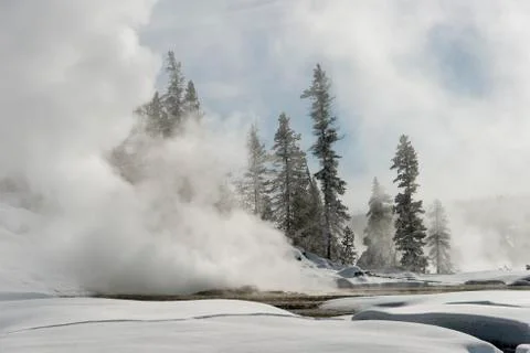Steaming geyser in winter Foto stock