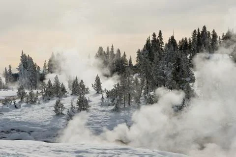 Steaming geyser in winter Stock Photos