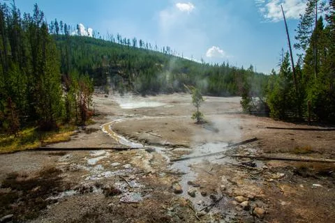Steaming Ground Stock Photos