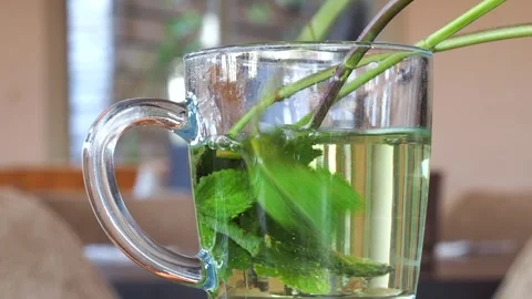 A Steaming Hot Cup Of Fresh Mint Tea For Breakfast At A Restaurant In The UK Stock Footage 274440718