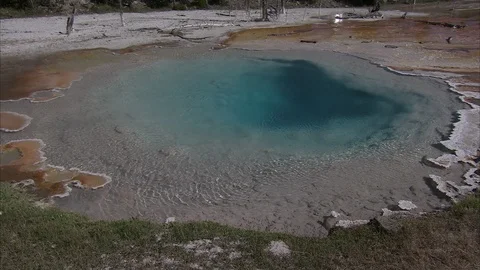 Steaming Hot Spring in Yellowstone Video stock 86756452
