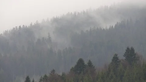 Steaming mountains. Stock Footage 76444789
