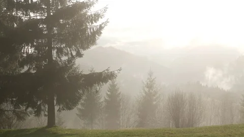 Steaming mountains. Steam comes from the slopes of the mountains in the rain. Stock Footage 76445189