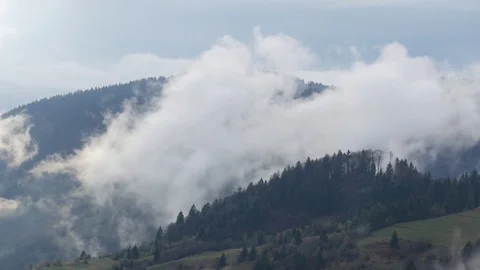 Steaming mountains. Steam comes from the slopes of the mountains after the rain. Stock Footage 76445236