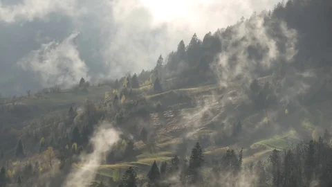 Steaming mountains. Steam comes from the slopes of the mountains after the rain. Stock Footage 76445239