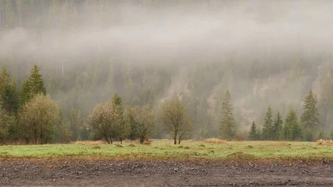 Steaming mountains. Steam comes from the slopes of the mountains after the rain. Stock Footage 76750177