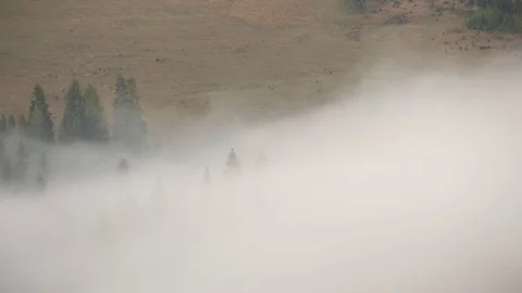 Steaming mountains. Steam comes from the slopes of the mountains after the rain. Stock Footage 76750217