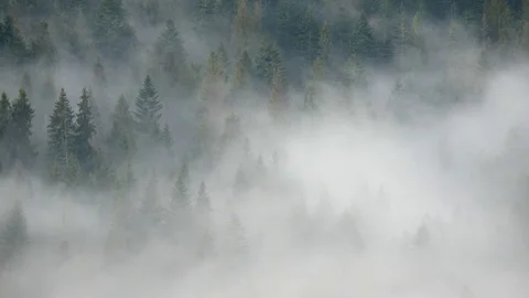 Steaming mountains. Steam comes from the slopes of the mountains after the rain. Stock Footage 76750255