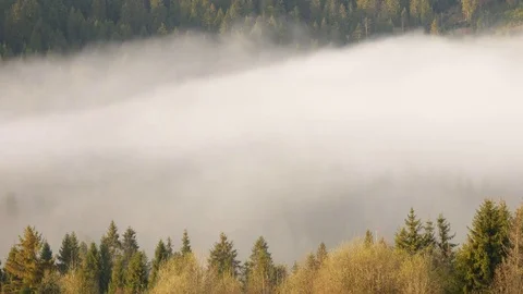 Steaming mountains. Time lapse. Stock Footage 76750196