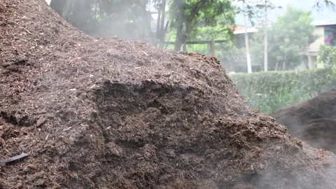 Steaming Organic Compost Pile Stored in an Agricultural Field for Sustainable Stock Footage 305779679