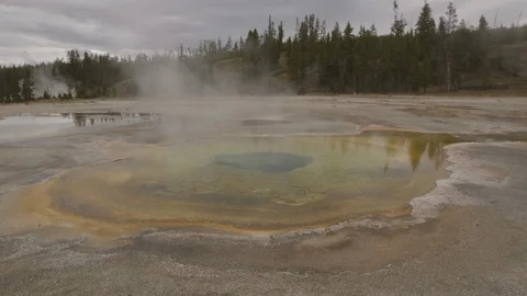 Steaming Ringed Hot Stream in Yellowstone National Park 스톡 동영상 122224180