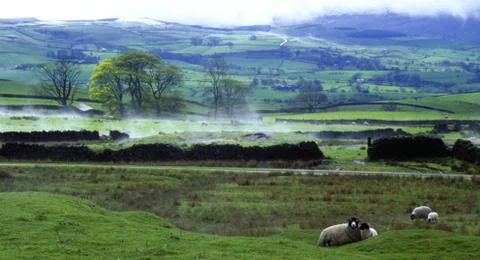 Steaming Stainmore Stock Photos