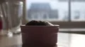 Steaming sticky toffee pudding is scooped and eaten with spoon HD Footage