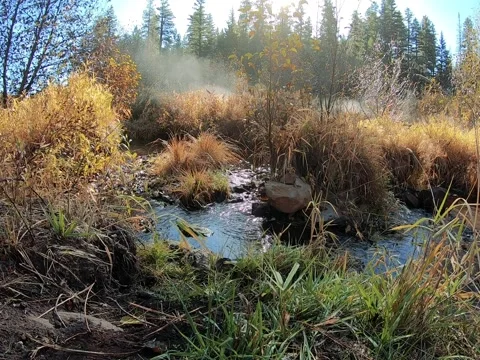 Steaming Stream in Autumn Forest Stockbeeldmateriaal 348218015
