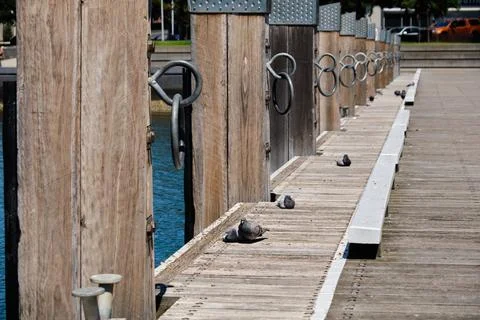 Steampacket Pier - Geelong Stock Photos