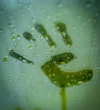 Steamy handprint Fotos de archivo
