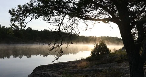 Steamy River at Sunrise Stock Footage 93534767