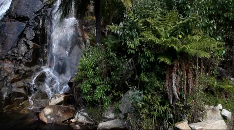 Steavenson Falls 스톡 동영상 45291880