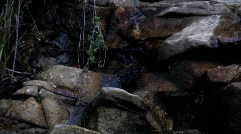 Steavenson Falls 스톡 동영상 45292058