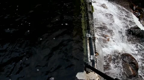 Steavenson Falls 스톡 동영상 45292274