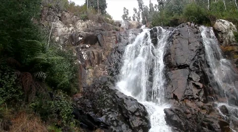 Steavenson Falls 스톡 동영상 45293846