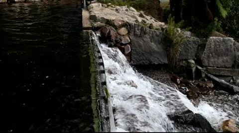 Steavenson Falls 스톡 동영상 45293871