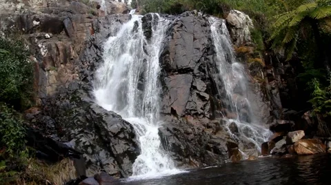 Steavenson Falls 스톡 동영상 45293882