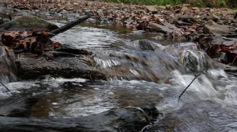 Steavenson Falls 스톡 동영상 45293920