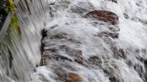 Steavenson Falls 스톡 동영상 45294112