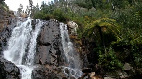 Steavenson Falls 스톡 동영상 45294137