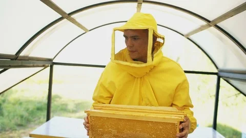 Stedicam shot of beekeeper with wodden frames walking and inspecting beehives in Stock Footage 77734159