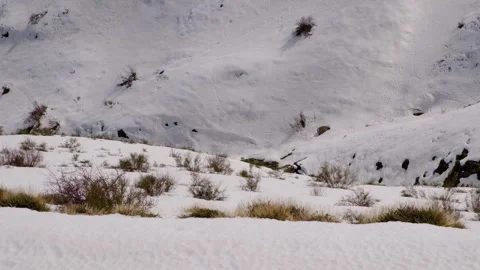 Stedy shot of snow covered area Stock Footage 270079486