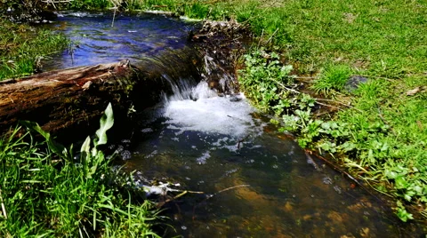 Stedycam walk over stream of pure fresh water Stock Footage 62421025