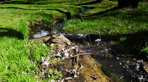 Stedycam walk over stream of pure fresh water Stock Footage 62426275