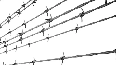 Steel barbed wire animation Stock Footage