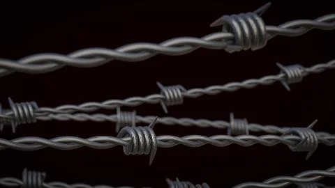 The Steel barbed wire for security or war concept 3d Rendering Stock-Illustration