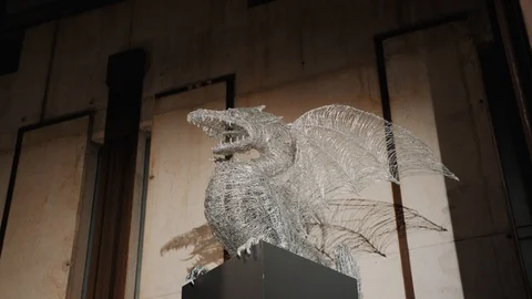 Steel dragon Stock Footage 120152109