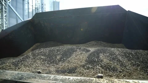 Steel grain elevator silos and open top hopper with dark seed Stock Footage 324794961