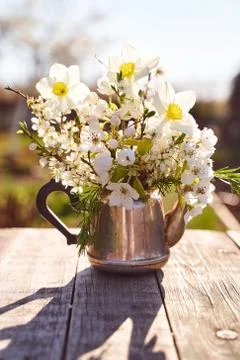 Steel kettle with sprigs of cherry blossoms, pears and apple trees on a natur Stock Photos