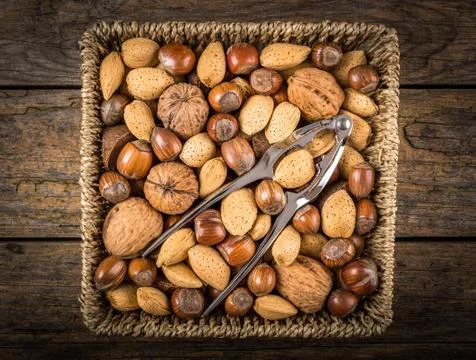 Steel nutcracker and nuts Stock Photos