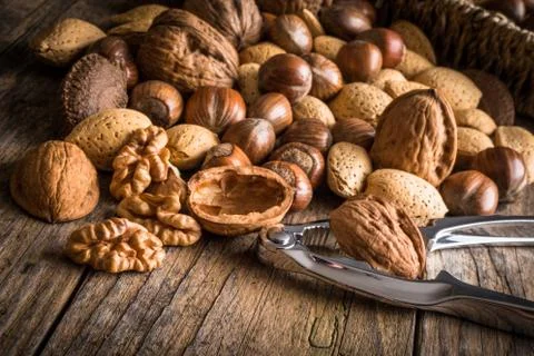 Steel nutcracker and nuts Stock Photos