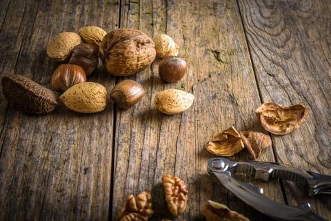 Steel nutcracker and nuts Stock Photos