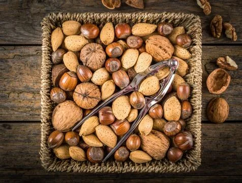 Steel nutcracker and nuts Stock Photos