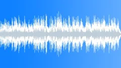Steel String Loop - 3 Stock Music