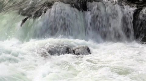 Steelhead Jump Video stock 8599356