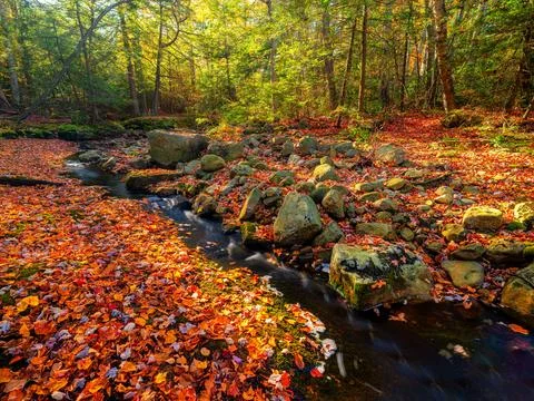 Steem in Catskills Stock Photos