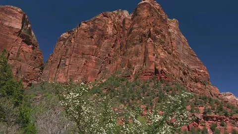 Steep Arid Rocky Mountain And Scarce Vegetation In Zion National Park Vidéo 207932881