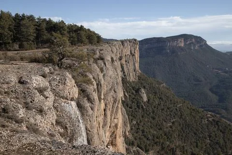 Steep cliff edge overlooking vast forest landscape Stock Photos
