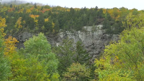 Steep Cliff in the Forest Video stock 162383074